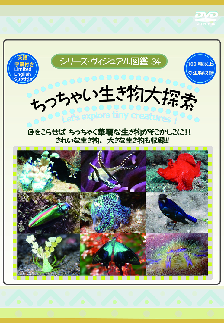 ちっちゃい生き物大探索