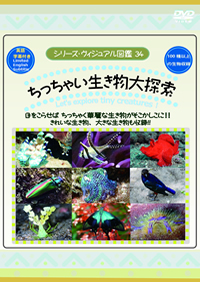 アジアの建物いろいろ