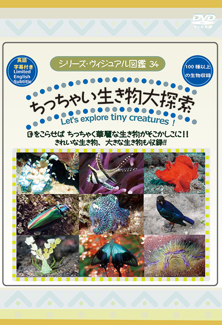 ちっちゃい生き物大探索