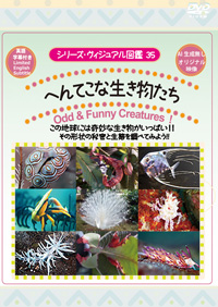 ちっちゃい生き物大探索
